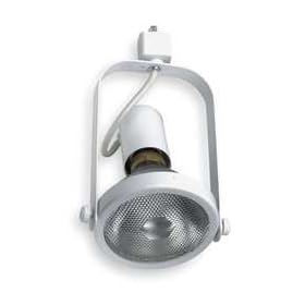 LumaPro 5TP81 Fixture, Track, 100 W