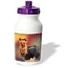 yorkshire_terrier4yorkshire terrier - Dogs Yorkshire Terrier Yorkshire Terrier Water Bottles