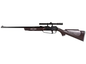 Daisy Outdoor Products 880 Rifle with Scope (Dark Brown/Black, 37.6 Inch)