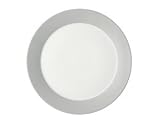 Arzberg TRIC Cool Dinner Plates Set of 4