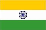 Paper Bunting: 2.4m, 10 Flags India
