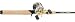 Shimano Cardiff 300A/Cabela's Fish Eagle XML Casting Combo