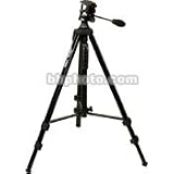 Davis and Sanford Courier Heavy Duty Tripod with FGX10 Head and Bag