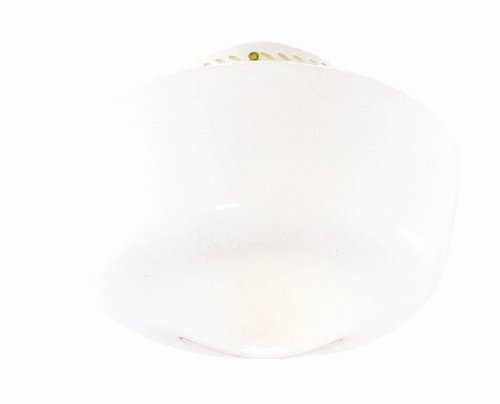 Hunter Fan Company 22555 Schoolhouse Globe Accessory Glass Fan 
