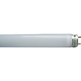 24 LED Tube Light Replacement Bulb-consumes only 10 watts and produces over 1000 lumens... by ledinsider