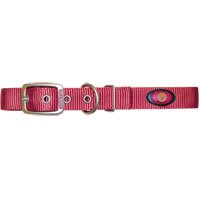 Dog Collar - 1 in. x 26 in. - Raspberry