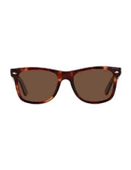 Sunglasses - Classics - Wayfarer Frame: Tortoise Lens: Brown by Private Island