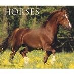 Just Horses 2009 Desk Calendar