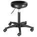 Posing Stool