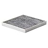 Guardian Technologies FLT-4000 Replacement Filters