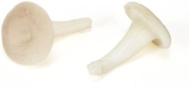 One Case 144 Pieces Artificial Vegetable Mushroom Light Coffee 2"x 2"x 3"