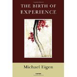 The Birth of Experience [PAPERBACK] [2014] [By Michael Eigen]