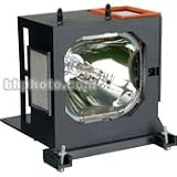 Sony LMPH200 Replacement Lamp for VPL-VW50