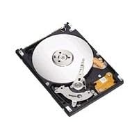Seagate Momentus 5400.3 ST980811AS - Hard drive - 80 GB - internal - 2.5" - SATA-150 - 5400 rpm - buffer: 8 MB