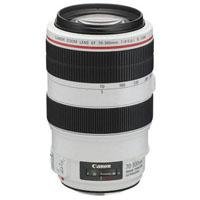 Canon EF 70-300mm f/4-5.6L IS USM Autofocus Telephoto Zoom Lens - Gray Market