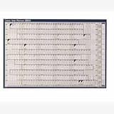 Electronics : SASCO YEAR PLANNER 2009 MOUNTED RED [ STAT_SY24983 ]