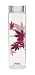 Maple Leaves Double Wall 16oz Glass Tumbler with Strainer for Loose Leaf Tea