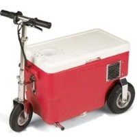 Cruzin Cooler 50-Series 300-Watt Electric Scooter (Blue)