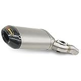 05-06 KAWASAKI ZX636: AKRAPOVIC SLIP-ON EXHAUST - TITANIUM OVAL (TITANIUM) by Akrapovic