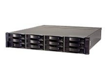 IBM BladeCenter Boot Disk System - Hard drive array - 12 bays ( SAS ) - 0 x HD - Serial Attached SCSI (external) - rack-mountable - 2U