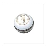 CA Test Star Cricket Ball White