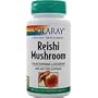 Reishi Mushroom 100 caps