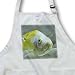 Kike Calvo Animals - Picturing fish in the biggest river aquarium in Europe - Aprons