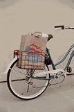 Bicycle Basket by Action Products