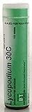 Boericke & Tafel Homeopathics - Natrum Muriaticum - Single Remedies 6x