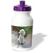 poodle37 - Dogs Poodle White Poodle Water Bottles