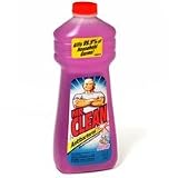 Kitchen & Housewares : Procter & Gamble 28Oz Mr Clean Spring Garden 31510