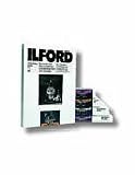 1x 10 Ilford MG IV RC 25M 30x40