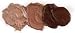 Burnt Umber Artists Oil Paint