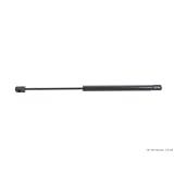 APA Tailgate Strut by APA