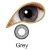 Grey Coloured Contact Lenses, 3 month by Crazy Lenses at Eye Fusion