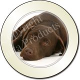 CHOCOLATE LABRADOR DOG Tax Disc Holder