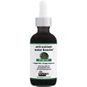 Dr. Brandt Antioxidant Water Booster Original 2oz