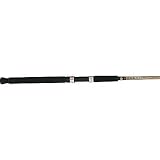 Fishing: Daiwa Sealine Surf Rods (Sls1102mhfs)