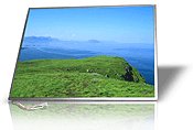 DELL FX313 LAPTOP LCD SCREEN 15.4