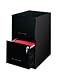 Home Office 2 Drawer Letter File Cabinet (Black) (24.5