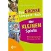 Spass-Spiel-Sport - Turnen und Breitensport Kinder