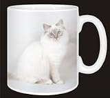 Review Advanta  / BIRMAN KITTEN/CAT Coffee Mug