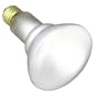 SATCO S2806 S2806 SATCO 65BR25/FL INDR RFLTR