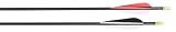 Allen Company 29-Inch Adult Carbon Arrows (3 Pack)