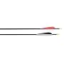 Alen 93529 Hybrid Carbon Arrows