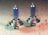 H7 Xenon bulbs 55W