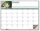 House of Doolittle 191 Kittens Monthly Desk Pad Calendar, Nonrefillable, 22 X 17