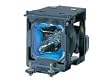 Panasonic ET-LAE500 - Replacement Projection Lamp - For Projector Model PTAE500