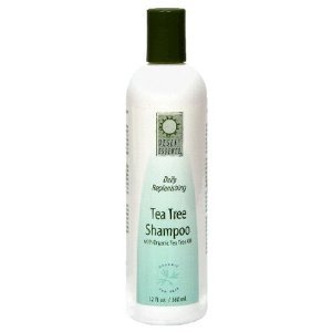 Desert Essence Shampoo, Tea Tree Replenishing Shampoo, 12.9 - Ounces (Pack of 3)