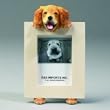 Golden Retriever (2 1/2x3 1/2) Small Picture Frame